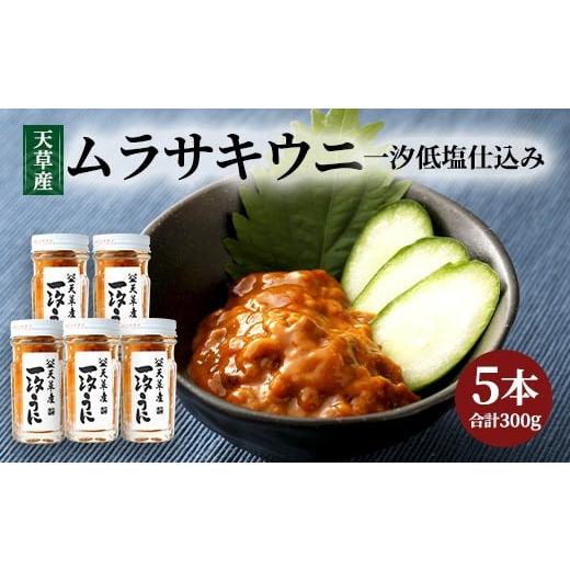 ふるさと納税 熊本県 上天草市 天草産ムラサキウニだらけ　豪華5本セット　(一汐低塩仕込み／60g)