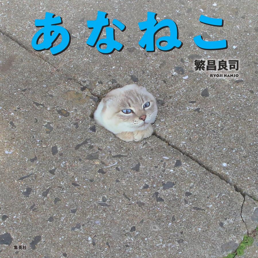 あなねこ 繁昌良司 著