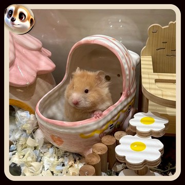【XL-LX】陶瓷倉鼠躲避屋 倉鼠窩 金絲熊 蜜袋鼯專用 睡窩 小床可窺 四季通用 造景