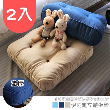 台客嚴選_伊莉雅立體大坐墊-2入 椅墊 坐墊 打坐墊