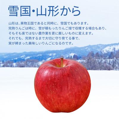 ふるさと納税 山形県 山形県産サンふじりんご 5kg(約16〜20玉)