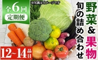y359 《定期便・全6回》野菜と果物旬の詰め合わせ(12～14品目)