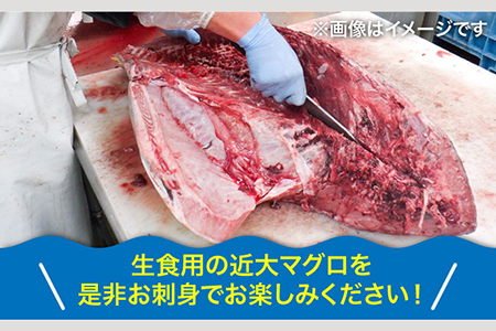 長崎県五島産 近大マグロ 約500g (大トロ・中トロ・赤身) まぐろ 刺身 お取り寄せ 高級 グルメ ギフト 海鮮 五島市 五島ヤマフ [PAK010]