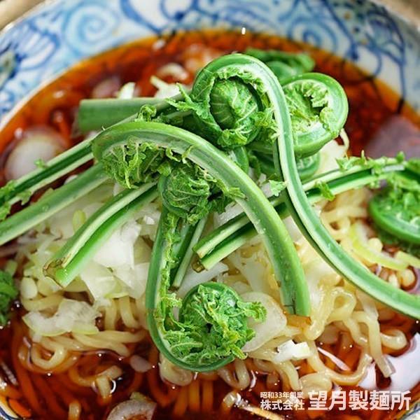 望月製麺 ちょっと汁有り  担々麺