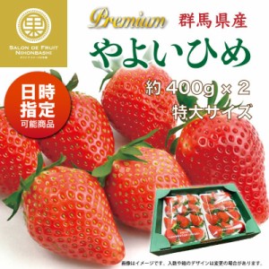 [予約 2024年2月11日-2月14日の納品] バレンタインデー プレミアムやよいひめ 約400g×2パック 計約800g 群馬県産 化粧箱 上級品 いちご