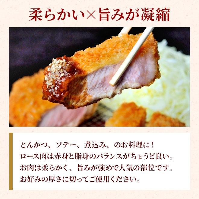 国産 やまと豚 ロース ブロック 300g [冷凍] 豚肉 豚肉ロース ブロック肉 肉 お肉 豚 お取り寄せグルメ お取り寄せ グルメ 食品 食べ物 ギフト 内祝い お返し