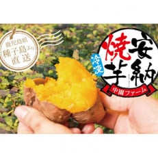 中園ファームの熟成安納芋焼き芋(冷凍)3.6kg(業務用袋1.2kg×3袋)