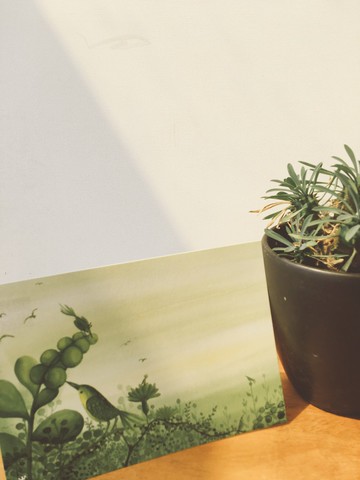 故事明信片-單色鳥系列-香草的氣息