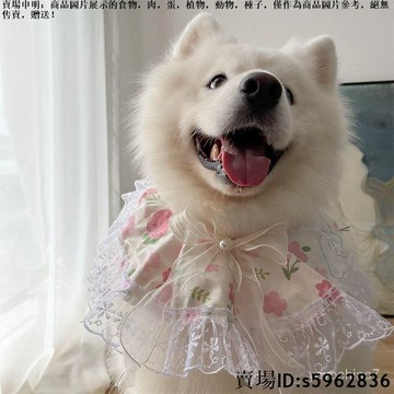 【台灣免運】狗狗圍脖 領結 草莓蝴蝶結寵物圍巾 裝飾品 大中小型犬薩摩耶 圍兜 配飾
