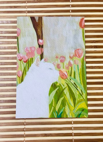 |NO.1 貓咪| 水彩插畫明信片