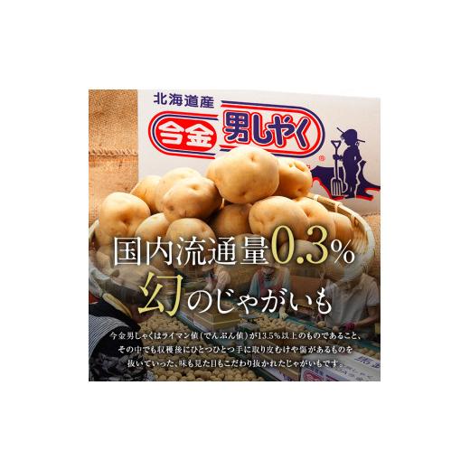 ふるさと納税 北海道 今金町 今金男しゃく（LMサイズ）約10kg（2024年10月発送） じゃがいも 男爵 いも だんしゃく 野菜 幻 北海道…