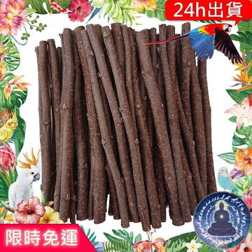 【寵物覺醒24h出貨】鸚鵡蘋果木樹枝木枝磨牙鸚鼠兔子黃金鼠兔老公公鼠三線鼠鼠兔啃咬玄鳳和尚虎皮