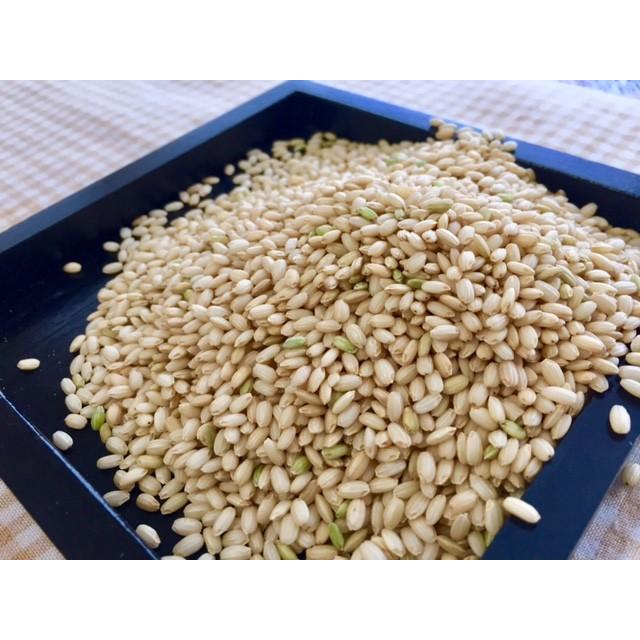 もち玄米10kg 　はぜかけ米(天日干し・自然乾燥)　石川ファーム自然栽培米 無農薬 R5年新米