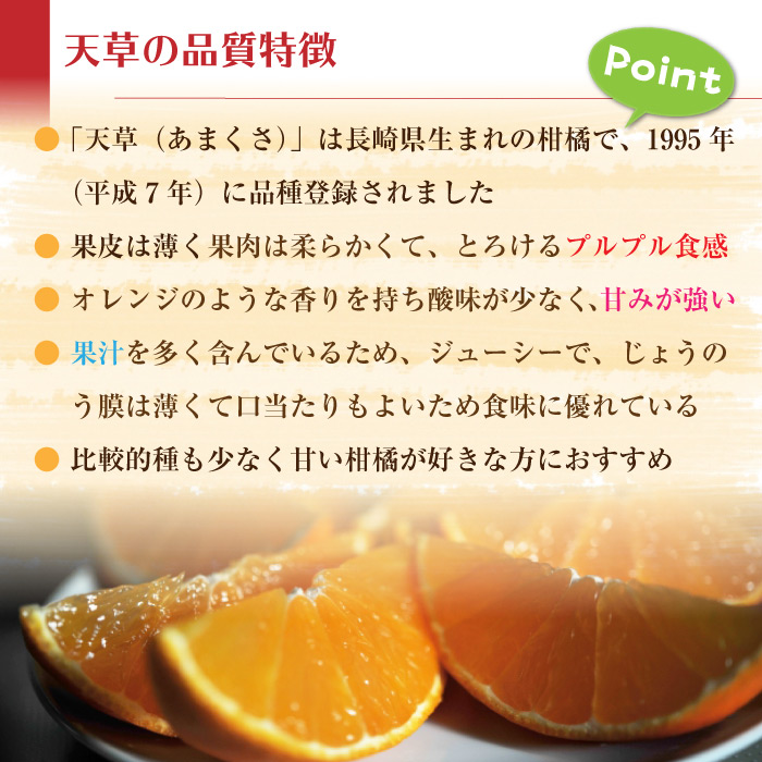 [予約 12月1日-12月31日の納品]  天草 SML 約3kg 8-15玉 佐賀県産ほか 化粧箱 高級品 あまくさみかん あまくさ 冬ギフト お歳暮 御歳暮