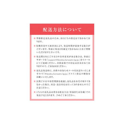 ふるさと納税 山梨県 甲州市 旬のフルーツお裾分け定期便5回（KSB）E-109