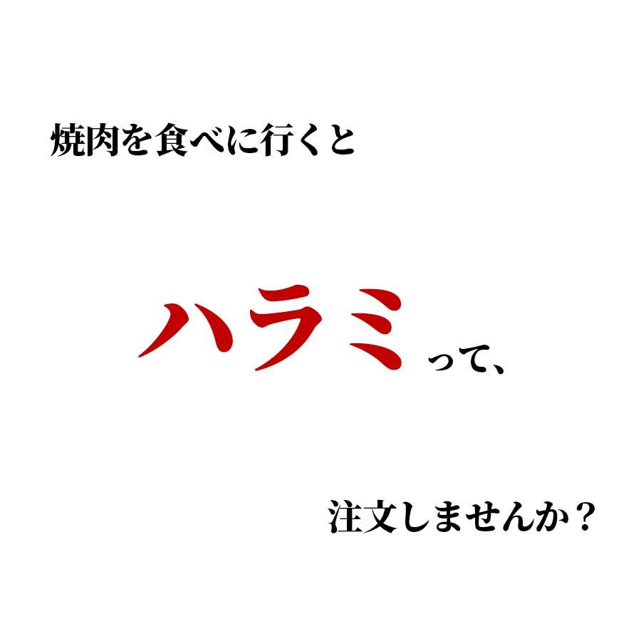 お歳暮 御歳暮 肉 焼肉 牛 ハラミ サガリ 牛ホルモン 400g 200g x 2パック 冷凍 プライム プレゼント ギフト 贈り物