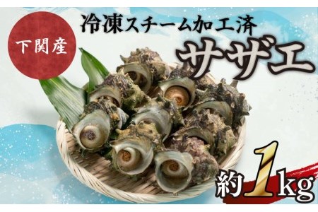 サザエ 約1kg 7～12粒 特大サイズ 刺身 冷凍 スチーム加工 レンジ で チンするだけ (さざえ サザエ 冷凍サザエ 新鮮サザエ スチーム済サザエ サザエつぼ焼き サザエ刺身 阿川サザエ 下関サザエ 貝 サザエBBQにも 海鮮 魚貝 産地直送 FK001_1