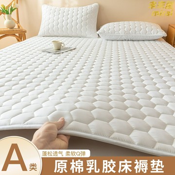 【A類防滑】乳膠床墊 薄款床墊 榻榻米墊 防滑墊 學生床墊 宿舍床墊 可摺疊 透氣護脊 單人臥室家用