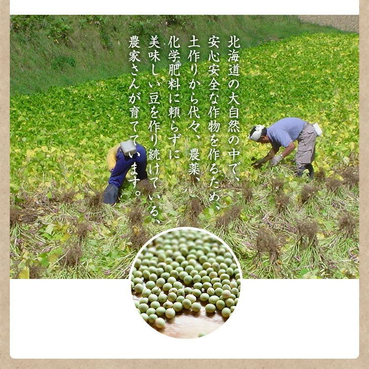 北海道産青大豆 農薬・化学肥料不使用 令和3年産 青大豆 大豆 北海道産 国産 希少