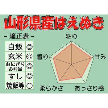 五ツ星お米マイスターがいる米穀店から搗きたてをお届け!山形県産はえぬき5kg