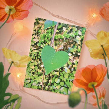 have a nice day 外星人遊台灣明信片/酷卡/貓空心葉