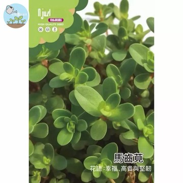 【原廠包裝】馬齒莧種子Purslane  豬母乳/寶釧菜/五行草 耐熱野菜 懶人盆栽必種 可食可觀賞 新手友善