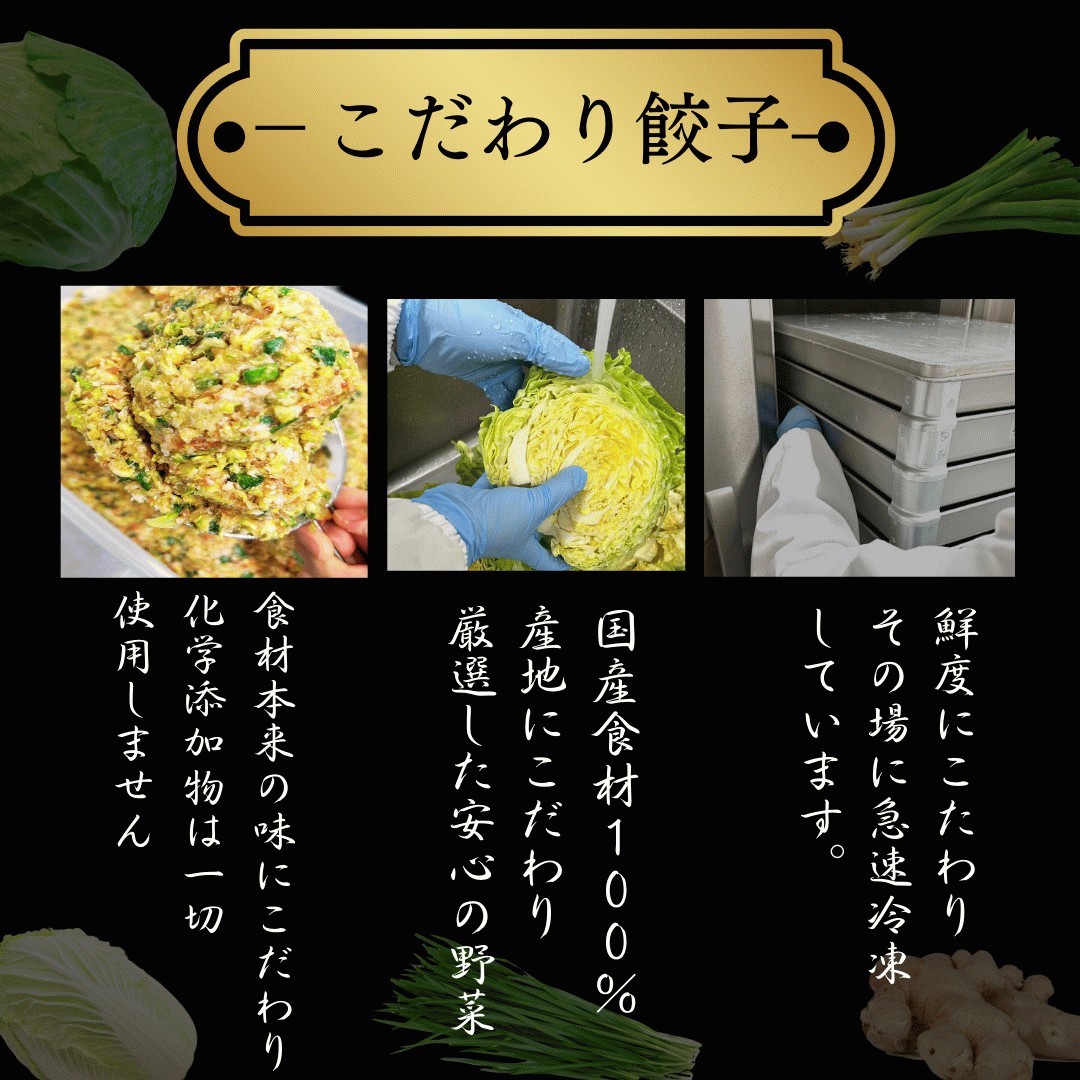 30％offクーポン配布中「生餃子48個入とにんにく餃子48個入り送料無料  大きいサイズ     工場直売 ぎょうざ ギョウザ ギョーザ ギフト業務用