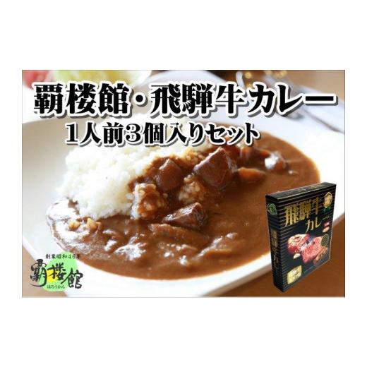 ふるさと納税 岐阜県 覇楼館・飛騨牛カレー1人前(250g)×3個セット