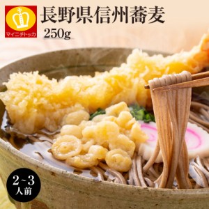 送料無料 年越し そば 蕎麦 日本そば 約2～3人前 250g×1 信州 名産品