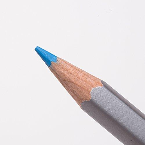 ステッドラー 色鉛筆 12色 水彩色鉛筆 カラトアクェレル 125 M12