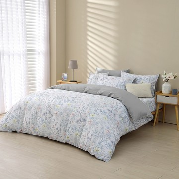 雙人薄被套特大床包組/美國棉授權品牌 300織/ 艾菲亞 [鴻宇] 台灣製 - 2393