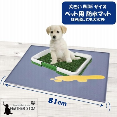 オーダーメイド ペットアクリルトイレ ICHIGOtype　※黒マットタイプ 犬用ペットトイレ 「アクリルペットトイレ」 スタイリッシュ