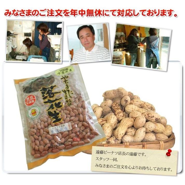 2023年度産 新豆 未調理なま落花生(ナカテユタカ)二等500g 千葉県八街産落花生