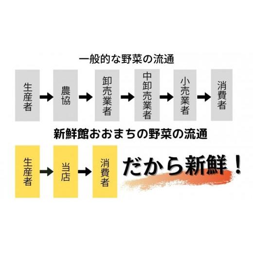 ふるさと納税 岩手県 一関市 収穫したばかりの新鮮野菜セットお試しコース 《7〜8品》 季節のお野菜 おまかせ お楽しみ 獲れたて…