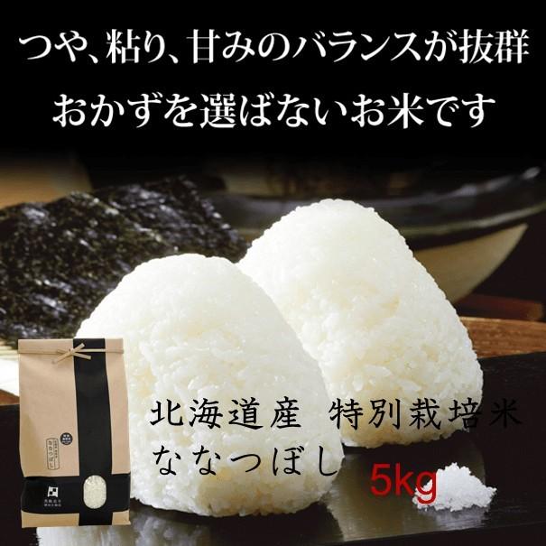 令和5年産 新米 ななつぼし 5kg 北海道米 一等米 特別栽培米 減農薬 選べる精米度 出荷前に精米  函館北斗 直送 白米 玄米 分づき米 人気銘柄 お歳暮