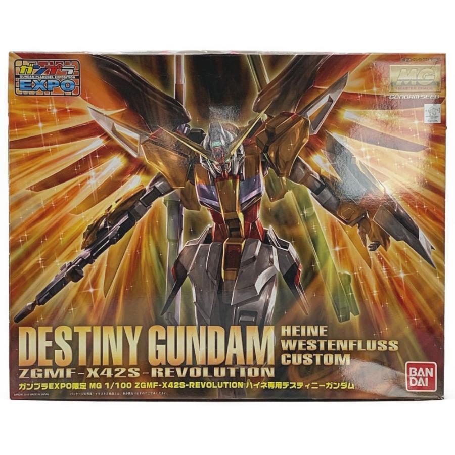 機動戦士ガンダムSEED DESTINY《 ハイネ専用 デスティニー