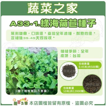 【蔬菜之家】A33-1.綠海萵苣種子 (共2種包裝可選)