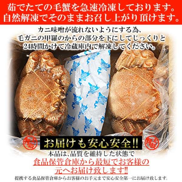 ギフト対応可商品 絶品 毛がに 400g×2尾 北海道を代表する海の幸 販売元より直送