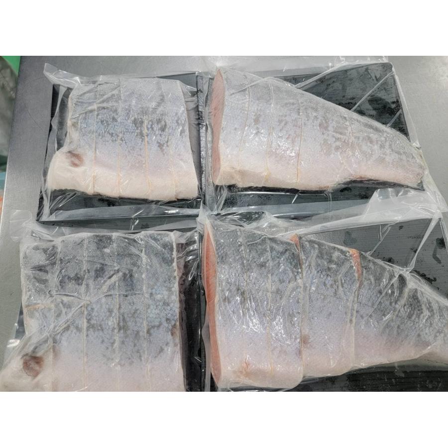 約1Kg 厚切り銀鮭(半身) 脂の乗った大ぶり鮭 焼鮭 サーモン 魚 切身 ギフト プレゼント おすすめ