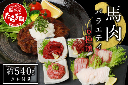  6種 馬肉 バラエティ 約540g  タレ付き 食べ比べ 冷凍 馬刺し 熊本県 本場 馬肉の刺身 生食 刺身 お刺身 SQF 安全 高品質 ファーム 馬肉 いろいろ セット 赤身 コウネ ハンバーグ 馬肉ハンバーグ ユッケ 桜うまトロ トロ フタエゴ 馬肉 お手軽 031-0437-202312