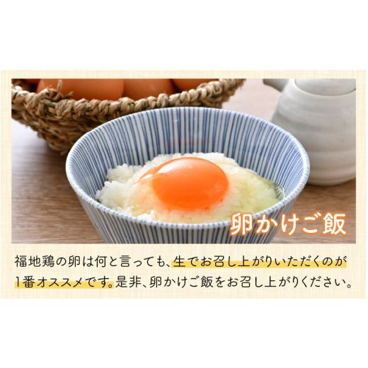 ふるさと納税 福井県 あわら市 福井ブランド「福地鶏」の卵 50個 濃厚で甘くておいしい！（25個入×2段）定期便