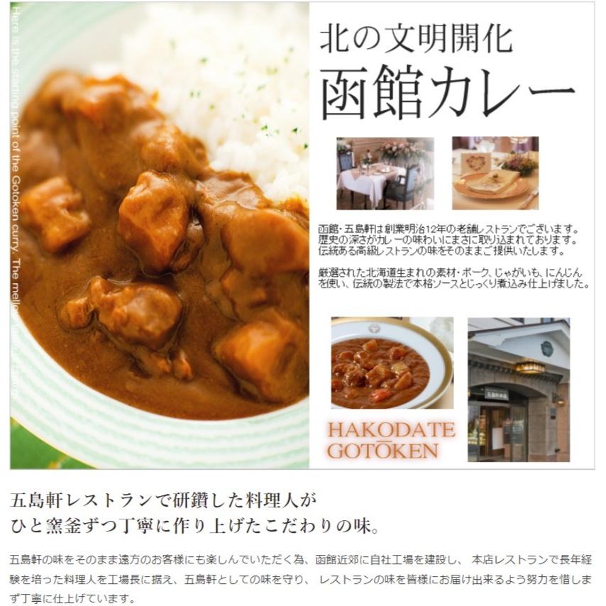 五島軒 函館カレー 辛口 200g レトルト食品 レトルト カレー お土産 ギフト バレンタイン