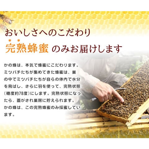 国産みかん蜂蜜（とんがり容器）1kg 蜂蜜専門店 かの蜂 生はちみつ 非常食 100％純粋 健康食品