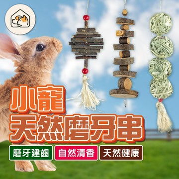 【天然樹枝👍】倉鼠磨牙串 香濃蘋果木磨牙串 磨牙蘋果枝 天然草球串 龍貓 兔子玩具 磨牙啃木串 咬木串 蜜袋鼯磨牙蘋果枝