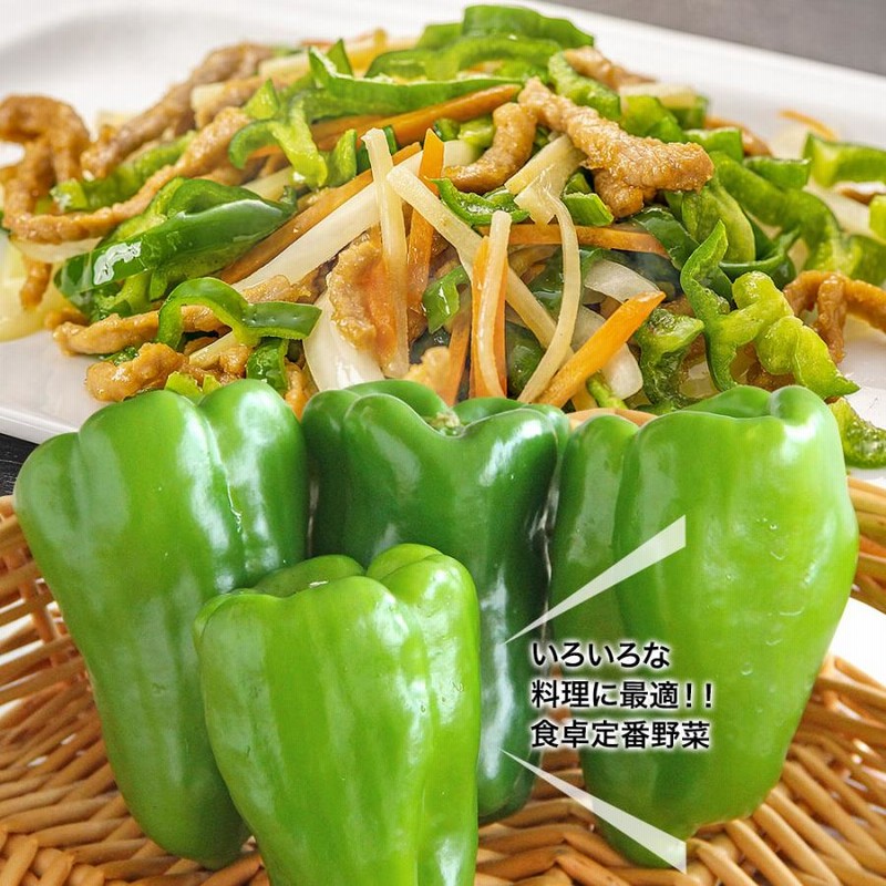 Amazon.co.jp: 4種野菜セット（キャベツ・新たまねぎ・新