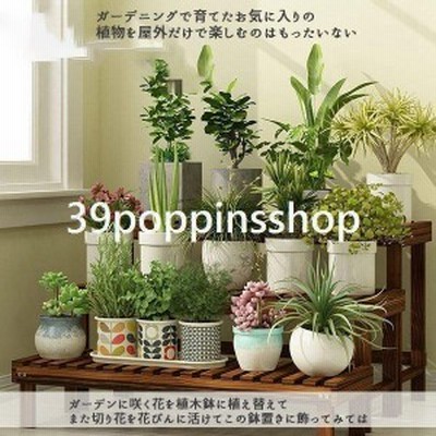 棚 盆栽の検索結果   ショッピング