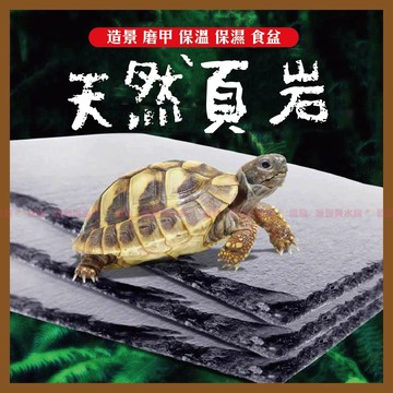 魚寶貝【陸龜磨甲 澤龜曬台】板岩 頁岩 爬蟲 岩板 烏龜台 岩片 水族底材〞水族造景 魚缸造景 底砂 磨甲岩板 烏龜磨甲