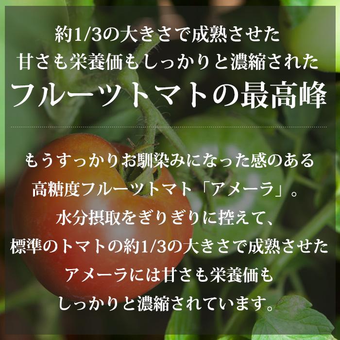 トマト 長野県産 静岡県産 高糖度フルーツトマト アメーラ 秀品 約1kg 2S〜Mサイズ 12〜20個