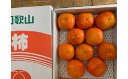 富有柿 赤秀品 3Lサイズ 化粧箱（10個）