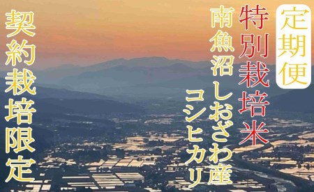 ※定期便：15Kg×12ヶ月※特別栽培 生産者限定  南魚沼しおざわ産コシヒカリ